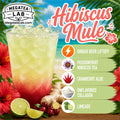 HIBISCUS MULE