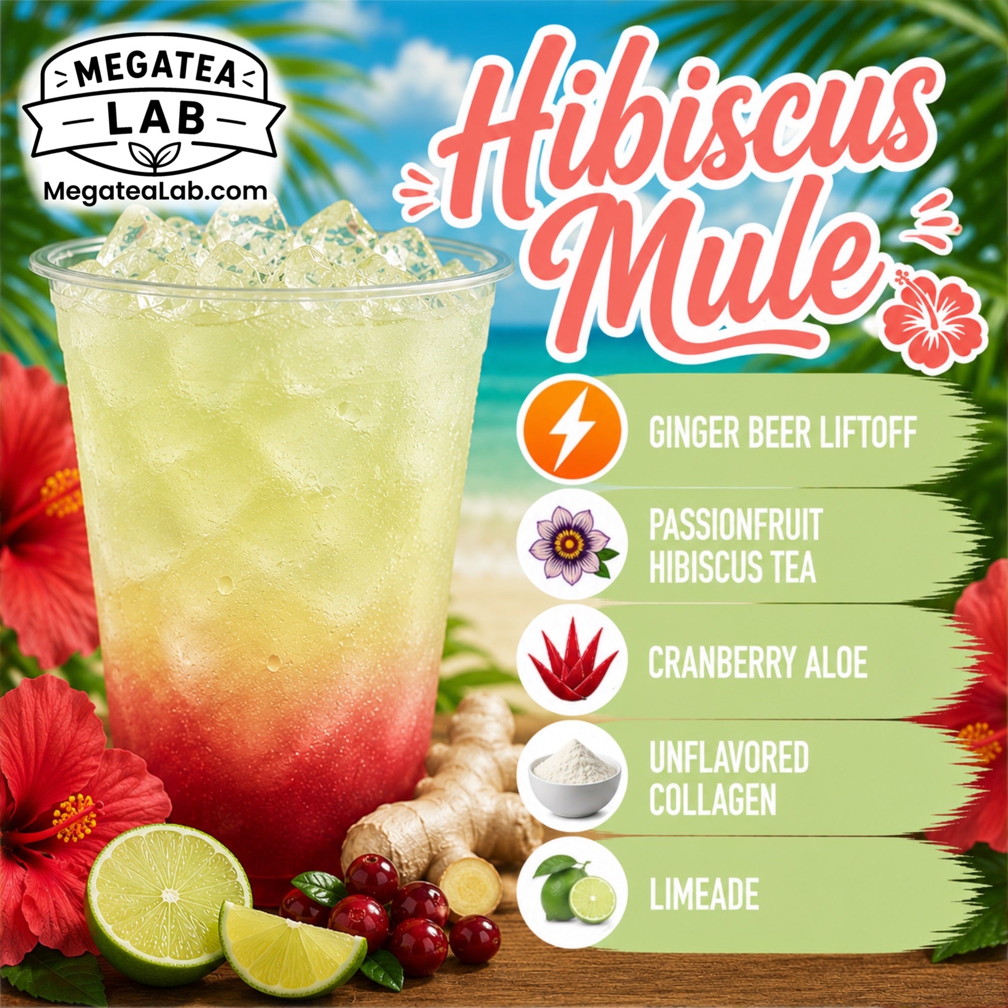 HIBISCUS MULE