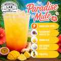 PARADISE MULE