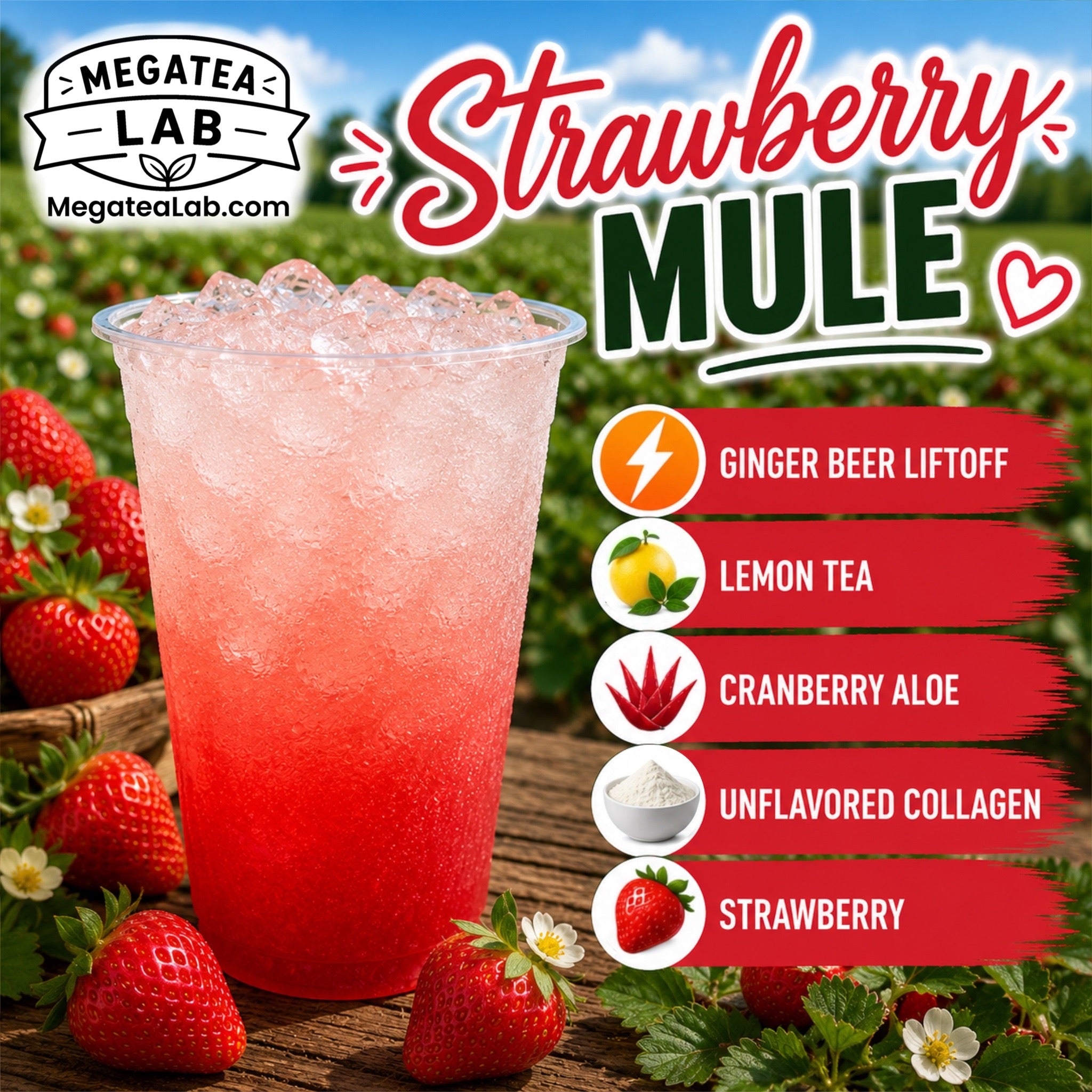 STRAWBERRY MULE