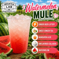 WATERMELON MULE