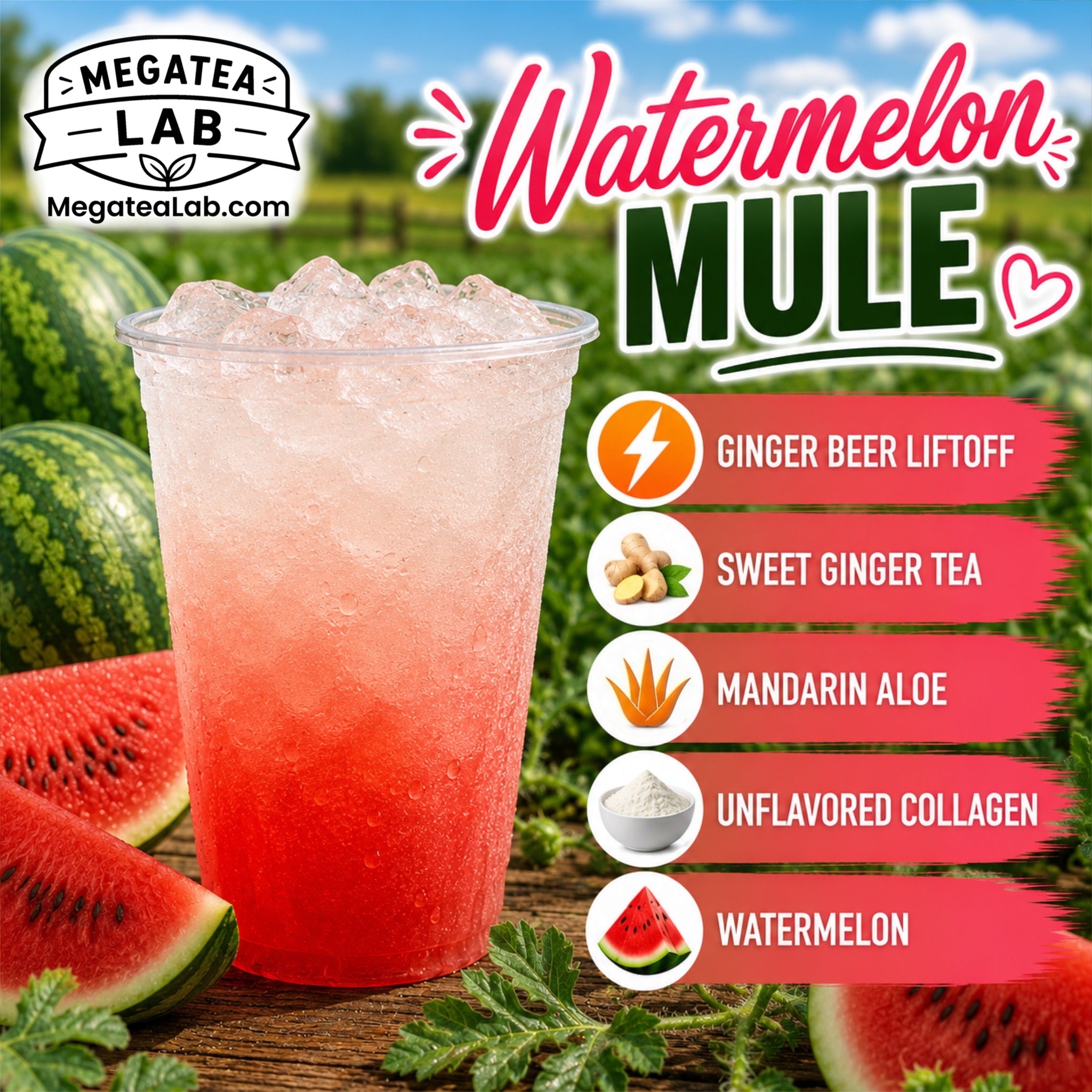 WATERMELON MULE